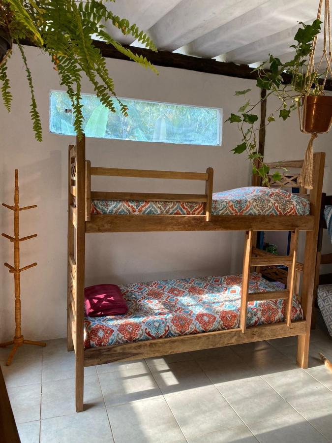 Casa Dos Ventos - Refugio, Sustentabilidade, Conexao Убатуба Екстериор снимка