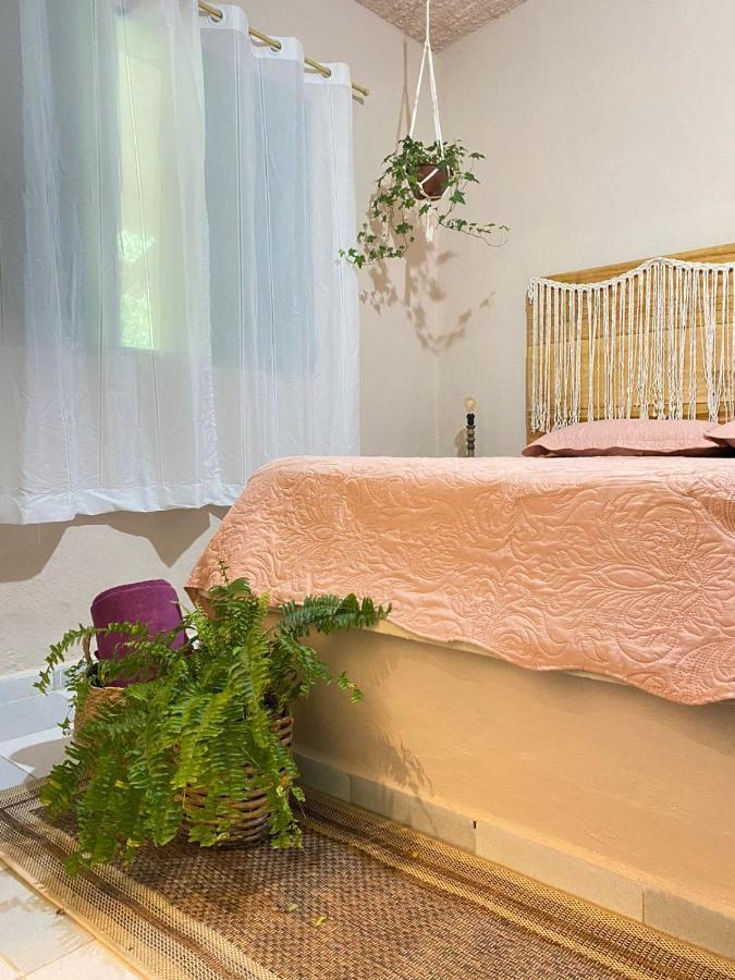 Casa Dos Ventos - Refugio, Sustentabilidade, Conexao Убатуба Екстериор снимка